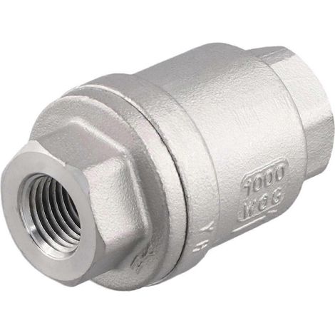 Clapet anti-retour vertical en acier inoxydable 304 H12 pour pompe à eau, tuyau d'eau 1/4 pouce, clapet unidirectionnel DN8 (1/5)