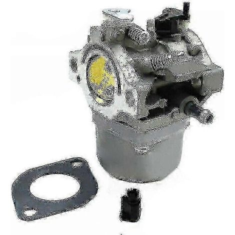 Moteur Briggs & Stratton 12,5 ch, carburateur 799728 (1/5)