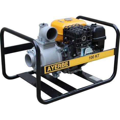 AYERBE - 5419350 - Motopompe auto-amorçante basse pression AY-100 Kiotsu, 95 000 L/h, 3 bar