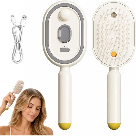 Brosse Electrique Cheveux, 2 en 1 Portable Hair Steamer, Peigne Massage à Coussin d'Air et Spray Electrique, Brosse Cheveux Bouclés pour la Maison, un Usage Quotidien, les Voyages (1/5)