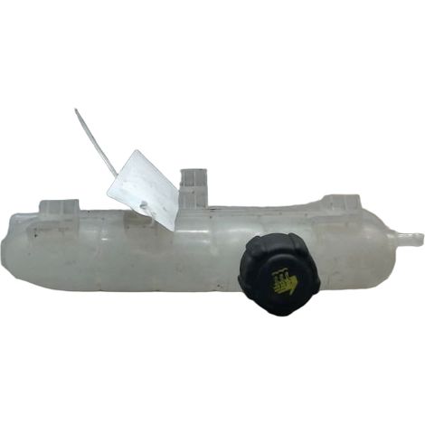 Vase Expansion RENAULT Zoe [PRODUIT D'OCCASION]♻️217104337r (1/3)
