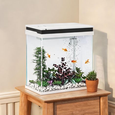 Kit aquarium verre 14L avec éclairage LED et pompe silencieuse (1/5)