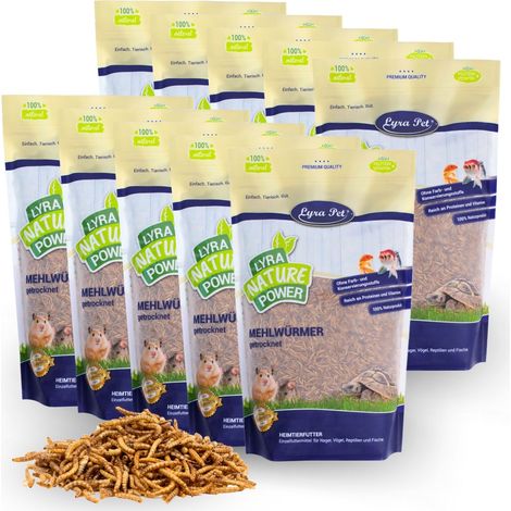 10 x 1 kg de vers de farine séchés Lyra Pet®