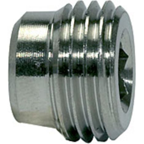 Riegler Verschlussschraube, Innensechskant, ohne Bund, G 1/4, ES 1.4571 (1/3)