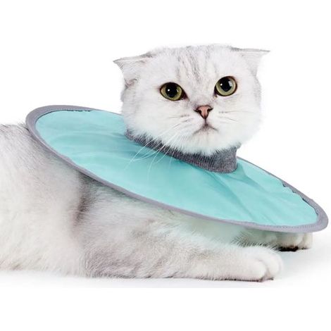 Katzenhalsbänder - Katzenhalsbänder - Katzenhalsbänder - Schutzhalsbänder für Katzen - Chirurgische Halsbänder für Katzen - L