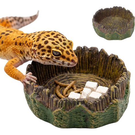Ciotola per l'acqua per terrario, Ciotola per l'acqua per rettili, Accessori per terrario, Ceppo d'albero realistico, Decorazione per terrario, 2 pezzi per geco, barbo, lucertola, tartaruga, Habitat (1/5)