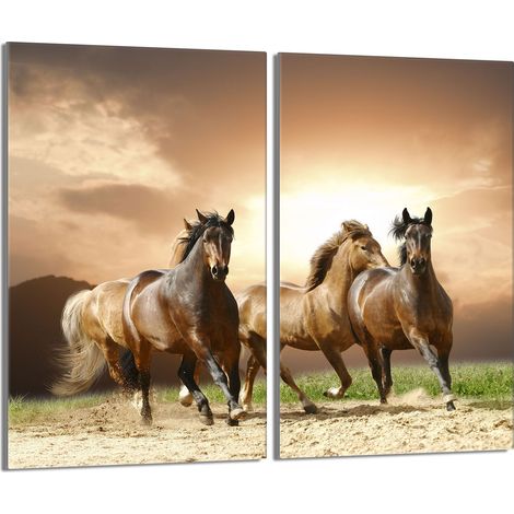 Glasschutzplatte für den Herd 2x30x52 Pferde (1/5)