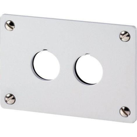 EATON Panel de montaje, 2 posiciones de montaje, IP65, RAL 7035, 216543