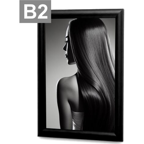 OWZ Standard B2 Rahmen schwarz (1/5)