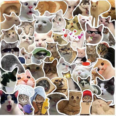 autocollant 50 Pices Chat Graffiti Stickers Pour Portable Voiture Ordinateur Moto Velo Casque Skateboard Guitare Bouteille D'eau Guitare Dcalcoman (1/4)