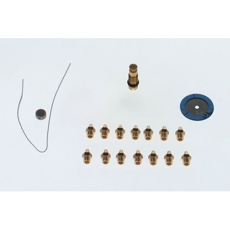 BOSCH Kit di conversione tipo di gas 21,2331, 7710149019
