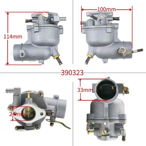 Vergaser 390323 394228 398170 170402 für 7 PS, 8 PS und 9 PS Motoren (1/4)