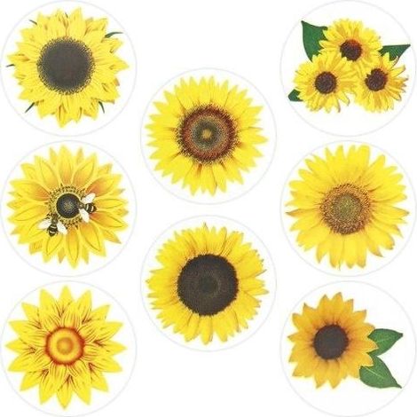 Pegatinas de papel en cinta adhesiva con diseño de girasoles (500 unidades)