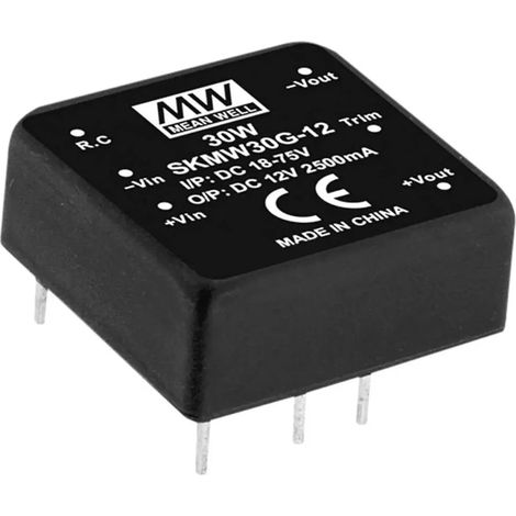 [NEUWERTIG] B-Ware Mean Well Dc/Dc Wandler Spannungswandler Netzteil Modul 12 V 30 W 1 Ausgang 1 Stk