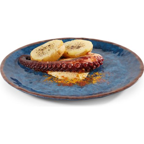 Assiette en Mélamine Bleue Ø 25 à 30 cm - Pujadas (1/2)