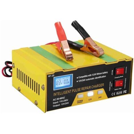 Type de réparation d'impulsions intelligents du chargeur de batterie 12V / 24V avec affichage numérique pour la moto (1/4)