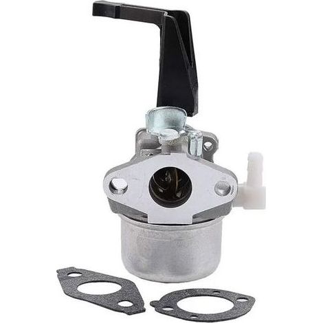 Kit de carburateur et de joint de rechange pour carburateur Briggs & Stratton 696065 697422 pour tronçonneuse 110402-0206-E1 (1/5)