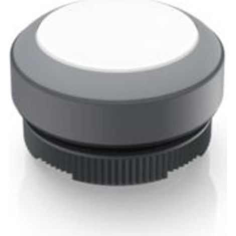 RAFI 1.30.270.001/2208 RAFIX 22 FS Pulsante illuminato Momentaneo (L x L x A) 29.8 x 29.8 x 18.5 mm 1 pz.