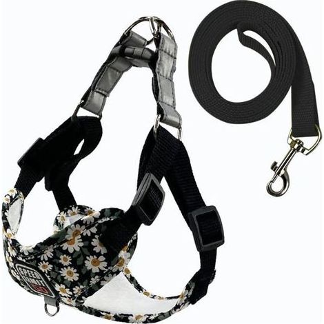 pair Fournitures pour animaux de compagnie Laisse respirante pour chien Laisse imprimée pour chien de promenade pour chien de petite et moyenne taille Nouveau harnais pour animaux de compagnie en gros (1/3)