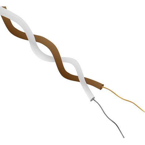 Câble pour thermocouple type T RS PRO, 50m, Non blindé, temp. max. +260°C, gaine PFA ( Prix pour Bobine de 50 Mètres ) (1/2)