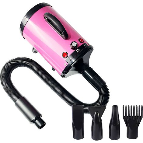 Sèche-chien, vitesse réglable, faible bruit, résistant à la chaleur, souffleur de toilettage Portable pour chiens et chats (1/5)