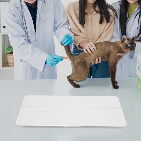Pèse-chien numérique pour grands chiens et chats - Charge maximale : 100 kg - Précision : 10 g - Affichage LCD - 3 modes de pesée - Rechargeable par USB - Fonction de maintien - Large (1/5)