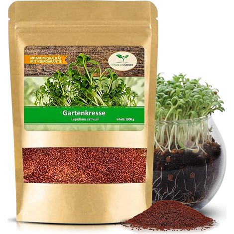 1kg Graines de Cresson Alénois - Nutrition Vegane Saine (1/5)