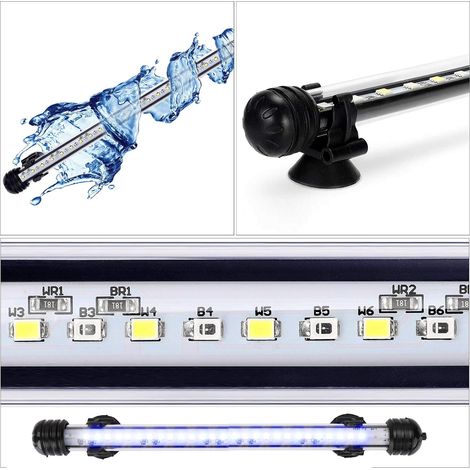 Lampe LED étanche et submersible de 19 cm pour aquarium, 2,8 W, bleu et blanc, 2,8 W (1/4)