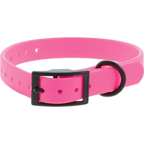 Collier pour chien à double boucle - couleur fruit du dragon - élégant et résistant - simple et polyvalent
