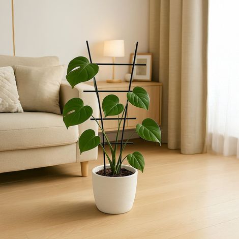 Relaxdays Pflanzenstütze, 6er Set, Rankhilfe Metall, Blumentopf & Pflanzkübel, HxB: 79x35 cm, Blumenstütze, schwarz