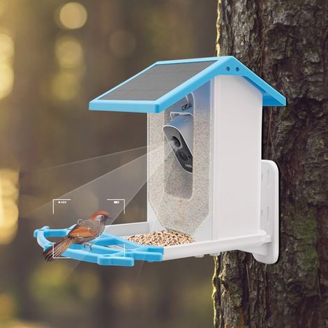 Solar Powered Bird Feeder Bird Feeding Unit with Camera Smart Bird Feeder (1/5)