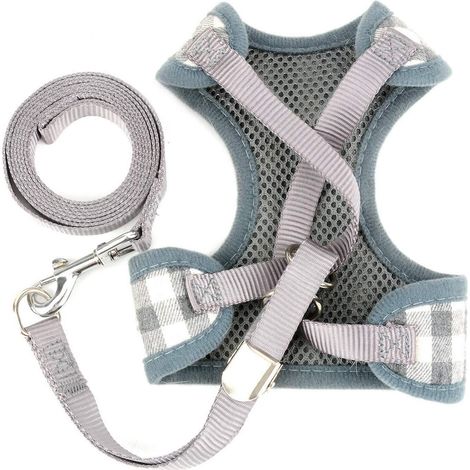 Harnais et Laisse pour Chat et Petit Chien - Ensemble Confortable à Carreaux avec Nœud Papillon et Clochette (1/5)