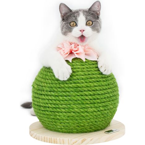 Griffe Chat Boule Jouet à Griffes - Jouet de Polissage pour Griffes de Chat (1/5)