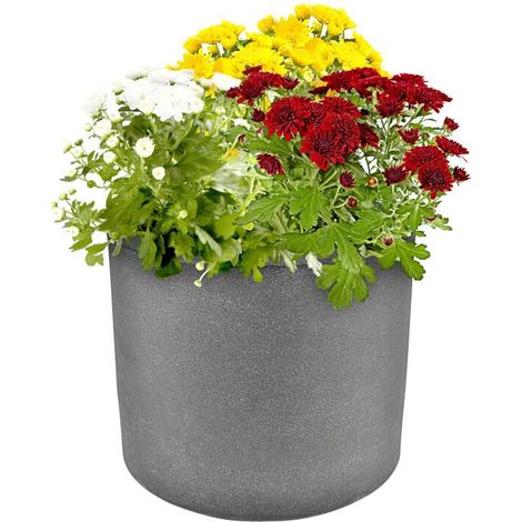 Blumenkübel "Kubus" Übertopf Outdoor ø39cm H33cm Pflanzengefäß grau mit Rollen (1/5)