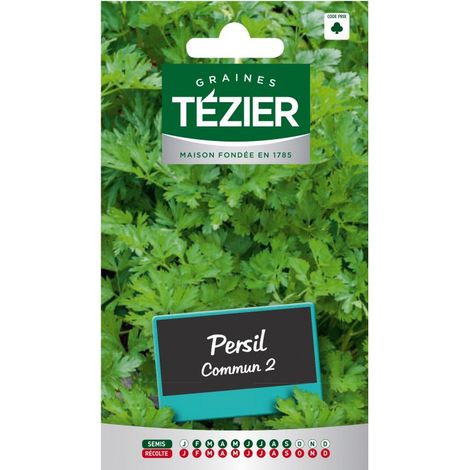Tezier - Persil Commun 2 (1/2)