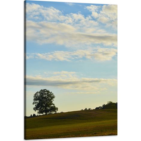 Leinwanddruck Natur Baum auf einer Wiese 60x90 cm Himmel Wiese Wolken