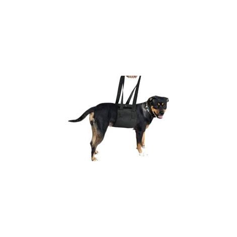 Harnais de levage pour chien, sangle de soutien pour chien avec poignée pour l'assistance au chien (1/5)