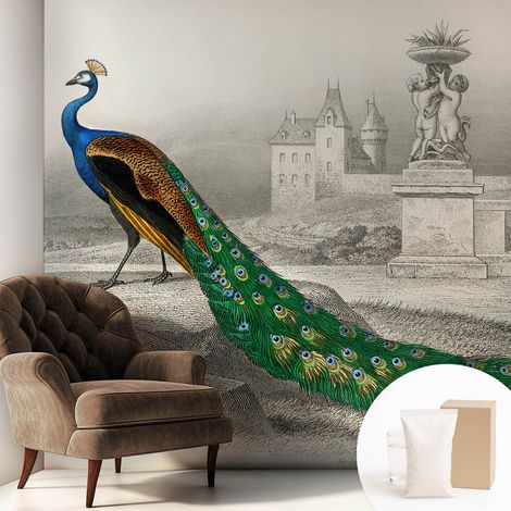 Papier peint intissé pour salon chambre à coucher peint imprimé Installation facile - Colle incluse gratuite Plumes colorées 250x250 cm (1/5)