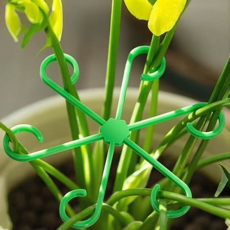 Support Pour Plantes - Tiges De Soutien En Plastique Réutilisables - Intérieur Et Extérieur - 8 Pièces (1/5)