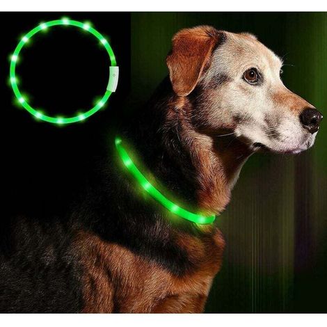 Collier pour chien LED lumineux, rechargeable, clignotant, garantissant la sécurité de votre chien. Taille unique, ajustable pour toutes les tailles de chiens, avec 3 modes et 12 lumières. RTGPT (Vert (1/5)
