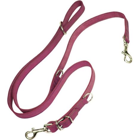 Laisse pour Chien Gloria Oasis Multiple 2.1 x 200 cm Rose