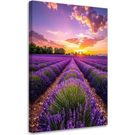 Quadro su tela, Campo di lavanda prato viola, 30x45 (1/5)