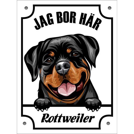 Filiyano-Plaque en métal représentant un rottweiler qui regarde, blanche (1/2)