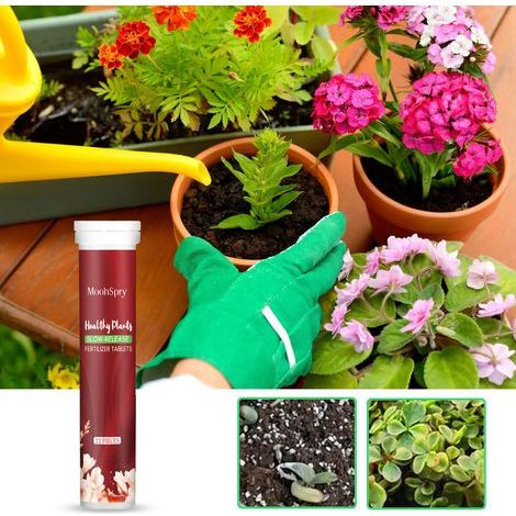 Comprimés d'engrais organique à libération lente, un engrais composé organique universel à libération lente pour fleurs, arbres et plantes vertes -- 22 COMPRIMÉS -- DTEKGAZ (1/5)