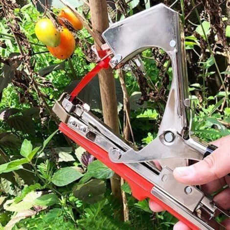 Attache Plante 14 Pack Pince à Lier Pince À Lier Jardin De Jardinage Attacher Branche Machine À Taper Nouer Branches, Rubans de Pépinière, Lame de Coupe Ruban, Agrafes pour Raisins, Tomates Vi- (1/4)