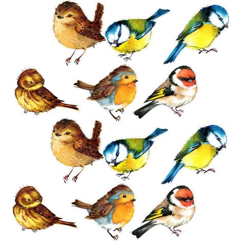 Pour Fentres Anti collision Oiseaux 3d Sans Colle 18 Pices (1/5)