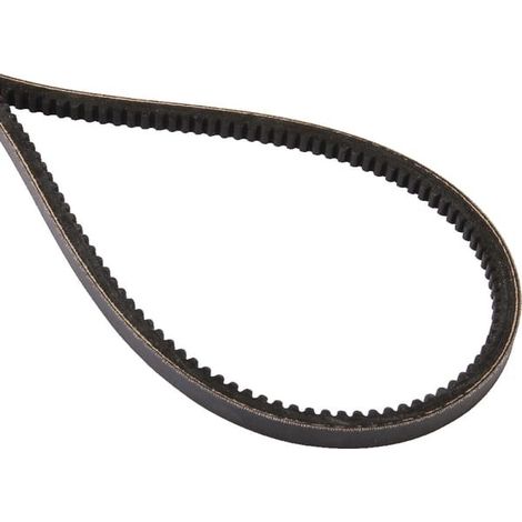Courroie trapézoïdale MASSEY FERGUSON 3381364M91