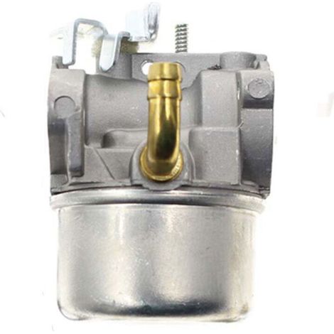 Carburateur Compatible 591299 798650 698474 791991 698810 698857 - Pièce Rechange (1/3)