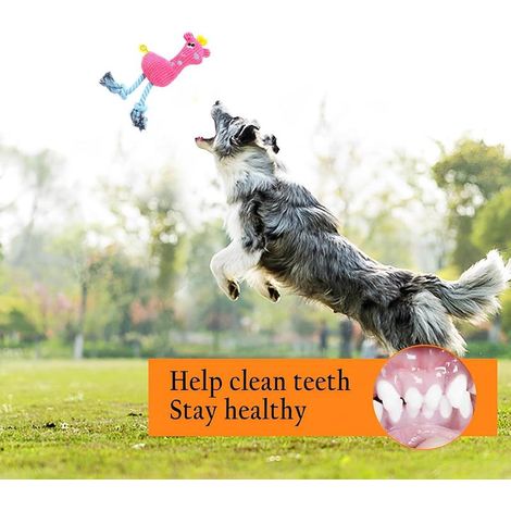 Lot de 2 jouets interactifs pour chien, jouets résistants à mâcher et couineurs adaptés à toutes tailles de chiens (1/5)