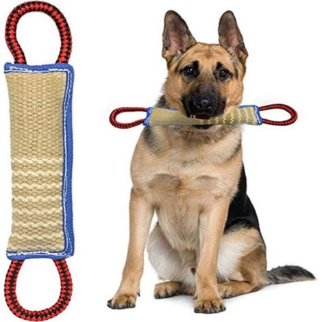 Dog Training Chew Toys, Durable Tug of War Chew Toys, Training Equipment for Puppies and Large Dogs (30.5 x 7.9 cm), YMYNY (1/4)